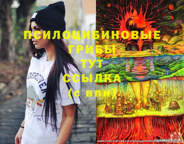 кокс Алексин