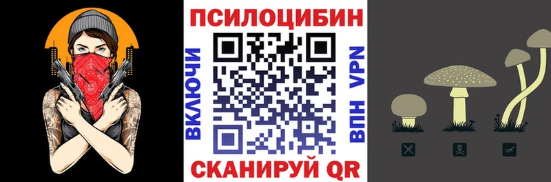 Галлюциногенные грибы Cubensis  Купить  Отрадная 